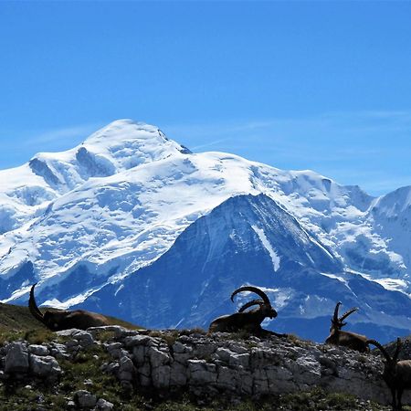 Vintage Chic -Central, Wifi, Mountain View Les Carroz d'Araches Exterior photo