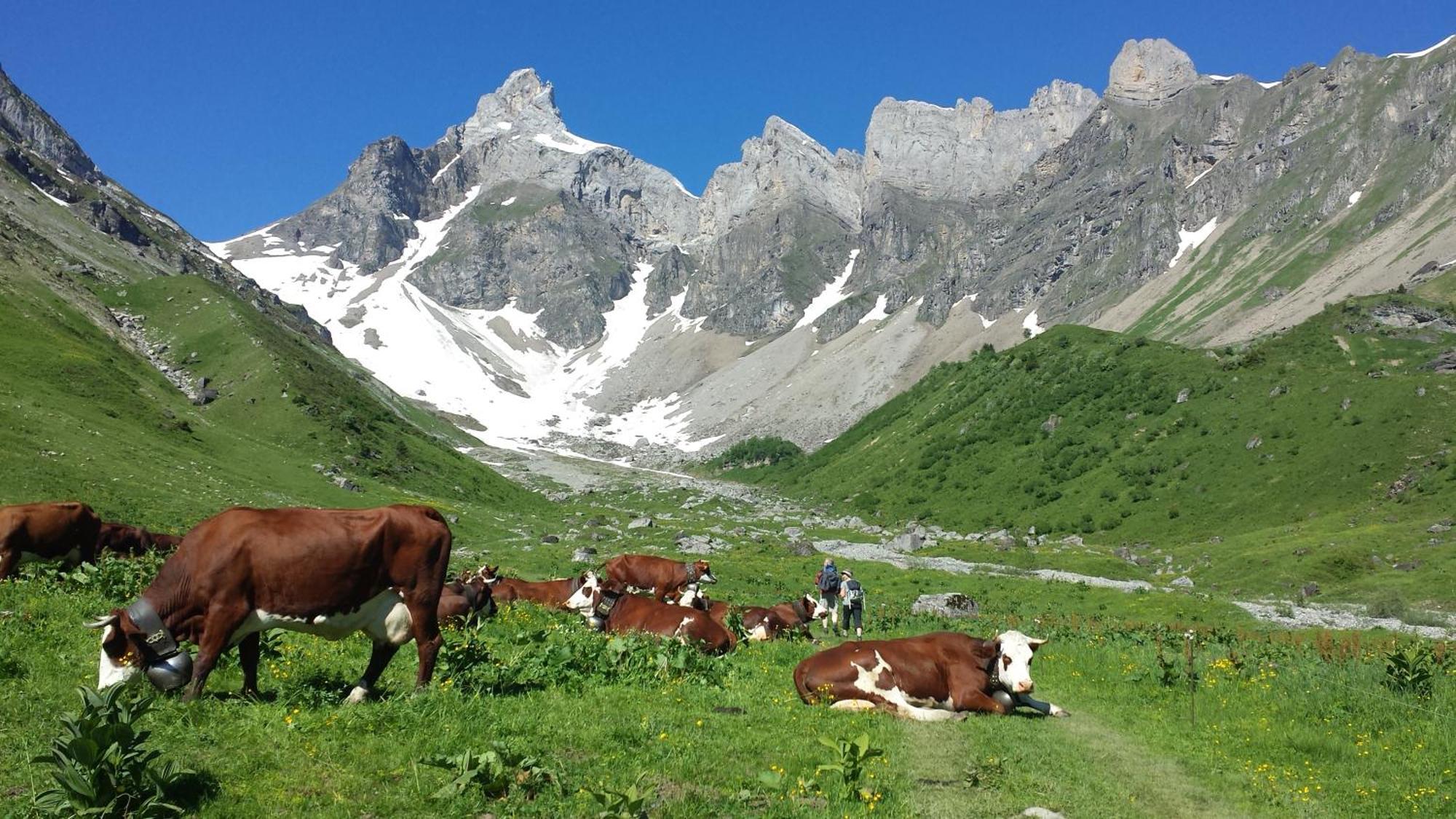 Vintage Chic -Central, Wifi, Mountain View Les Carroz d'Araches Exterior photo